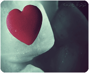 وسائط للجوال 2013 رسائل وسائط 120917153406TjD5.gif